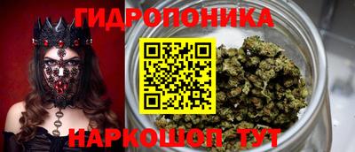 гидропоника Заволжье