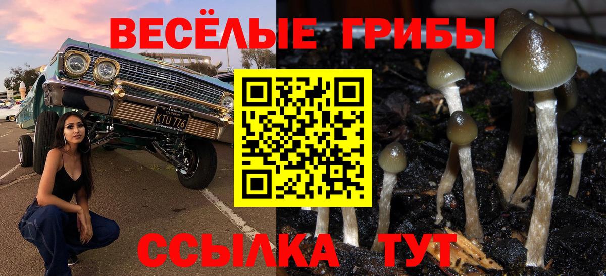 Псилоцибиновые грибы ЛСД Кушва