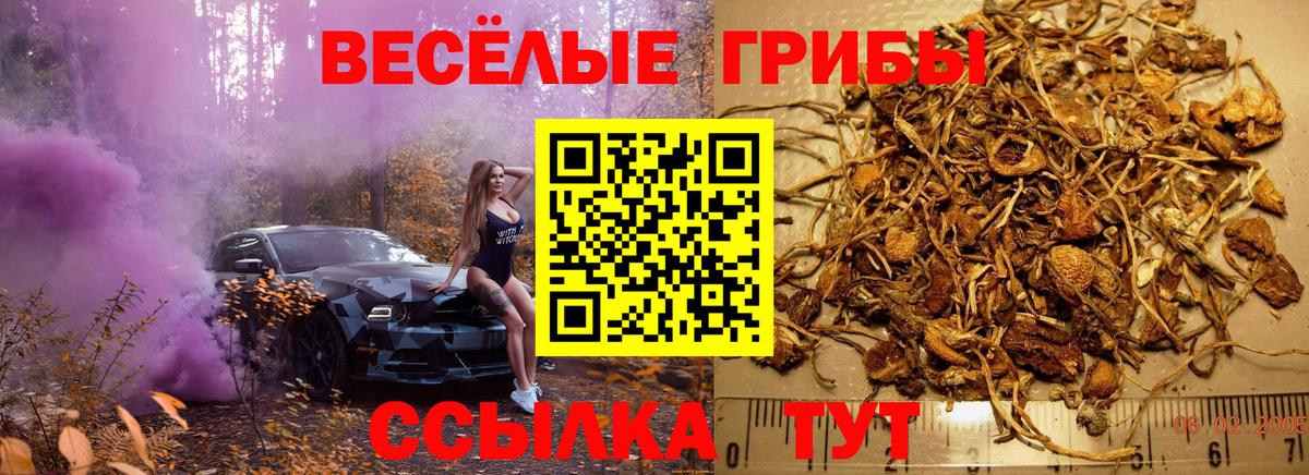 Кушва  Псилоцибиновые грибы ЛСД  цена   Вход с VPN 
